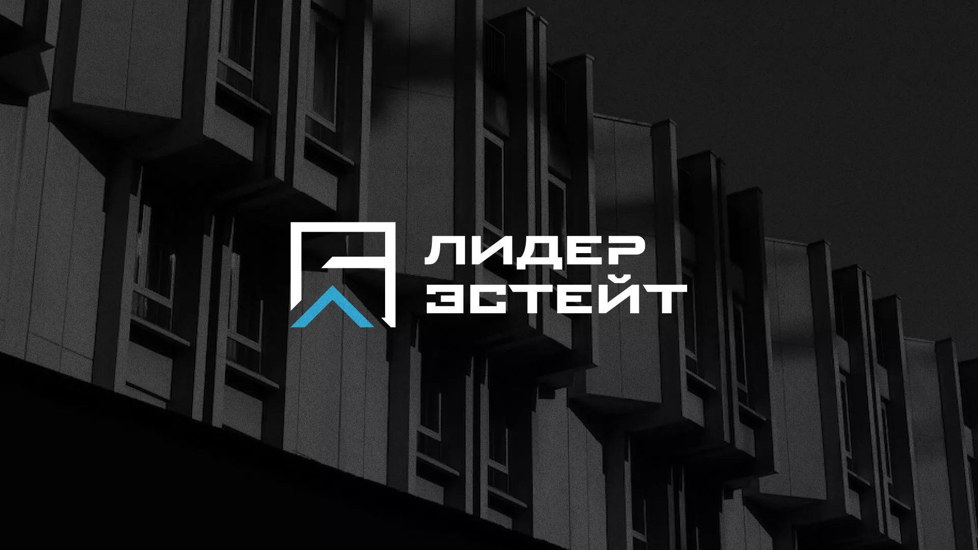 Разработка логотипа агентства недвижимости «Лидер Эстейт» в Чкаловском